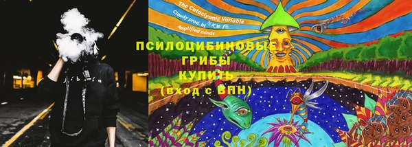амф Алексин